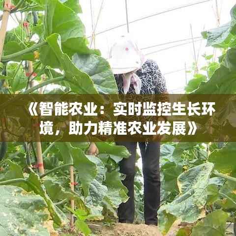 《智能农业：实时监控生长环境，助力精准农业发展》