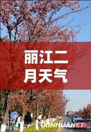 丽江二月天气预报：温暖阳光与春意盎然