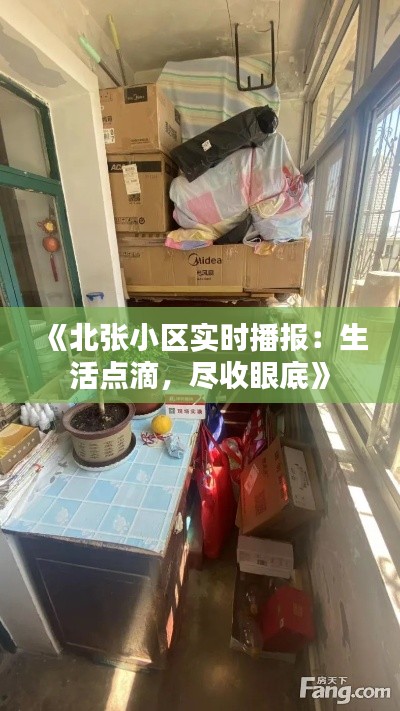 《北张小区实时播报:生活点滴,尽收眼底》