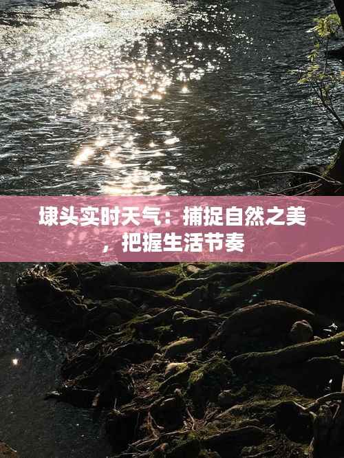 埭头实时天气：捕捉自然之美，把握生活节奏