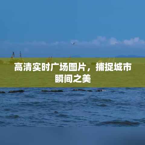 高清实时广场图片，捕捉城市瞬间之美