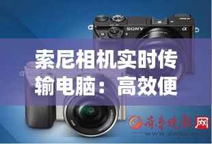 小心翼翼 第5页