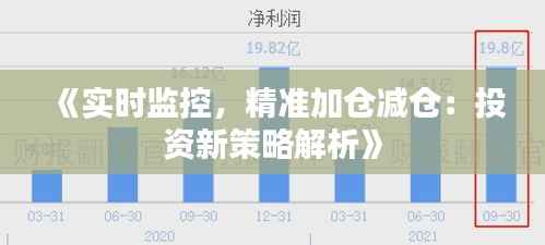 《实时监控，精准加仓减仓：投资新策略解析》