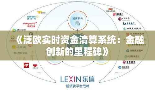 《泛欧实时资金清算系统：金融创新的里程碑》