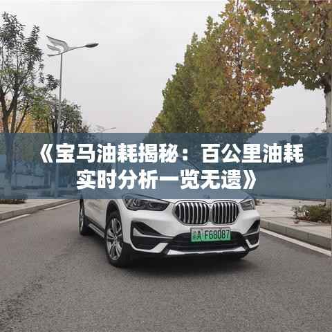 《宝马油耗揭秘:百公里油耗实时分析一览无遗》