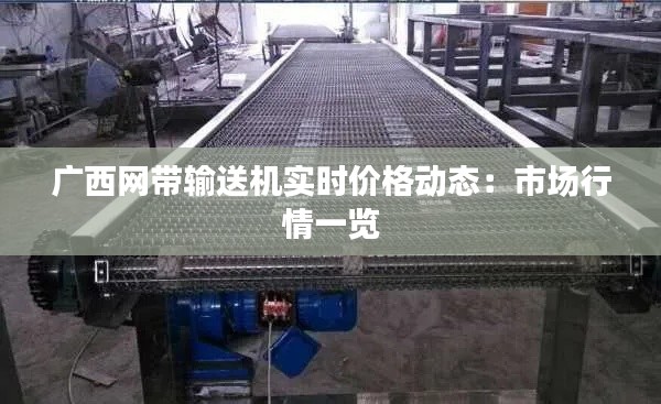 广西网带输送机实时价格动态:市场行情一览