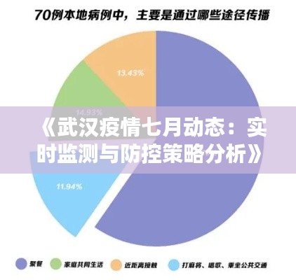 《武汉疫情七月动态:实时监测与防控策略分析》