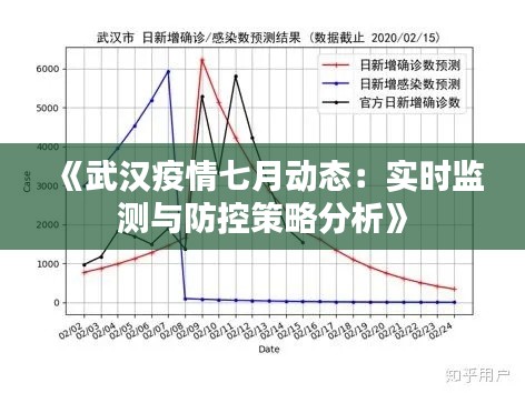 《武汉疫情七月动态:实时监测与防控策略分析》