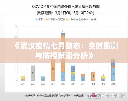 《武汉疫情七月动态:实时监测与防控策略分析》