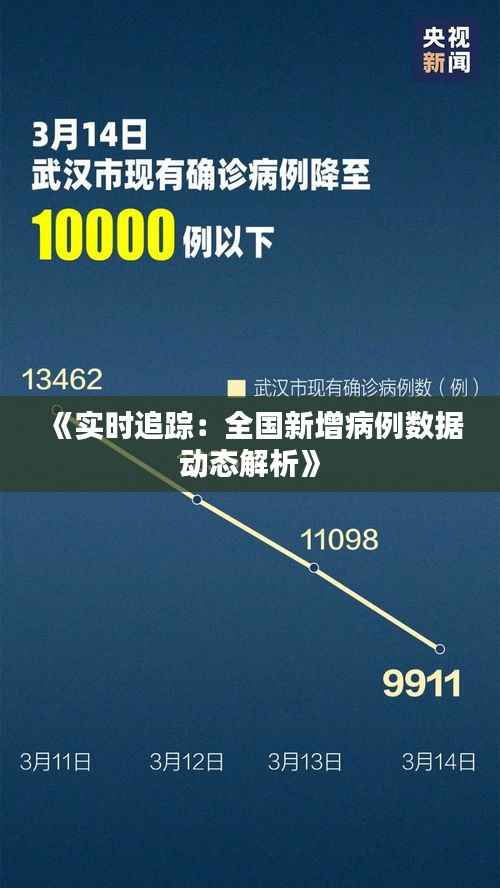 《实时追踪:全国新增病例数据动态解析》