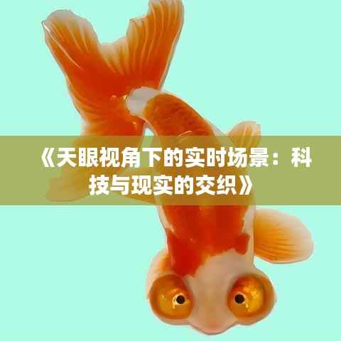 《天眼视角下的实时场景:科技与现实的交织》