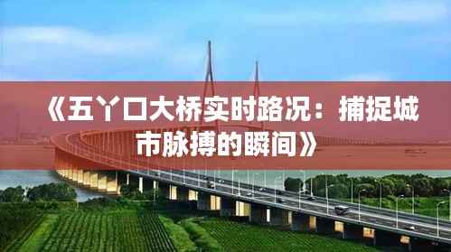 《五丫口大桥实时路况:捕捉城市脉搏的瞬间》