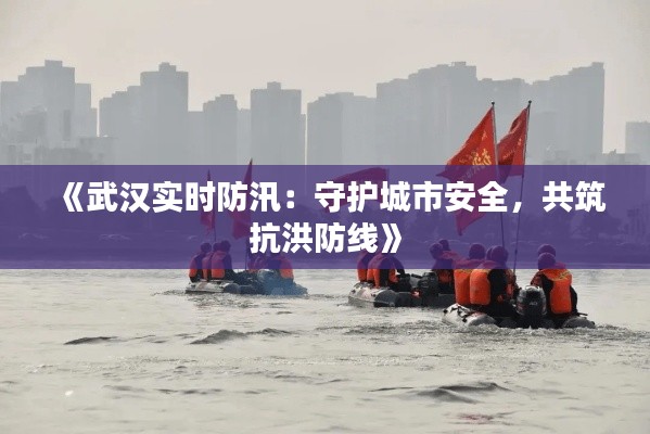 《武汉实时防汛:守护城市安全,共筑抗洪防线》