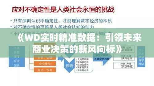 《WD实时精准数据:引领未来商业决策的新风向标》