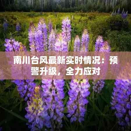 南川台风最新实时情况：预警升级，全力应对