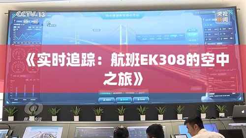 《实时追踪：航班EK308的空中之旅》