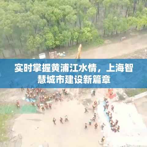 肝胆相照 第5页