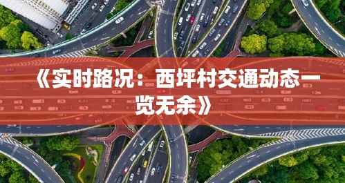 《实时路况：西坪村交通动态一览无余》