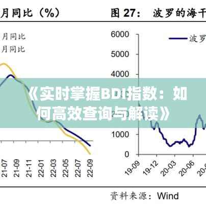 《实时掌握BDI指数:如何高效查询与解读》