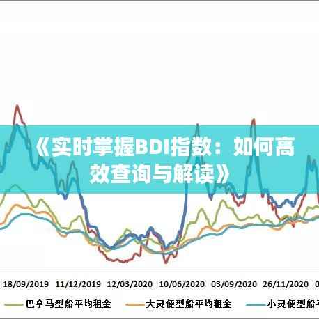 《实时掌握BDI指数:如何高效查询与解读》