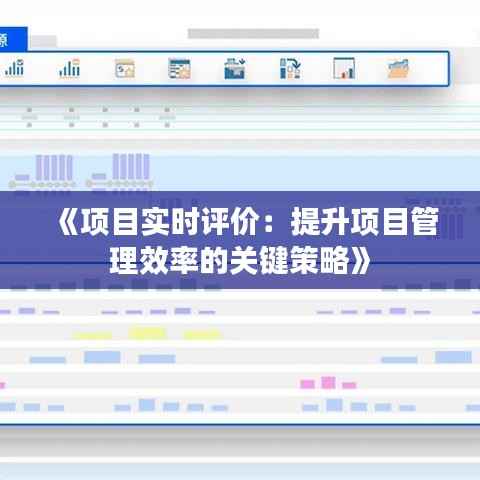 《项目实时评价:提升项目管理效率的关键策略》
