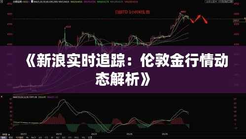 《新浪实时追踪:伦敦金行情动态解析》
