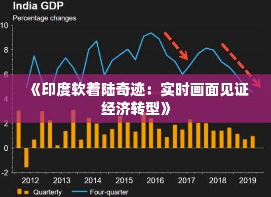 《印度软着陆奇迹：实时画面见证经济转型》