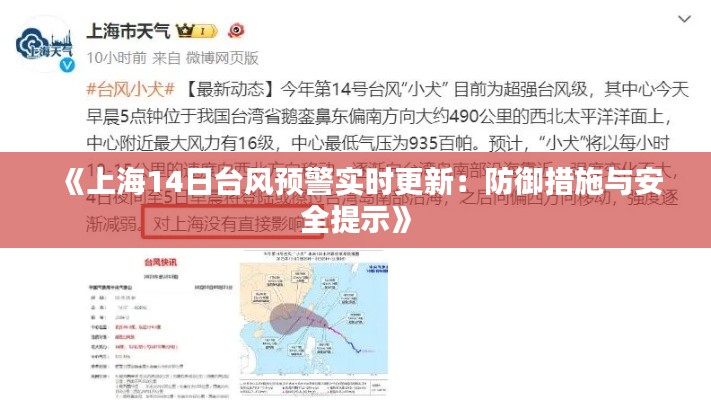 《上海14日台风预警实时更新:防御措施与安全提示》