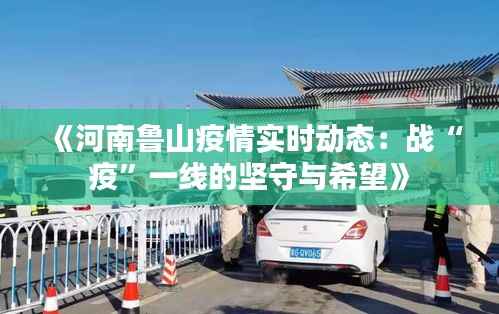 《河南鲁山疫情实时动态:战“疫”一线的坚守与希望》