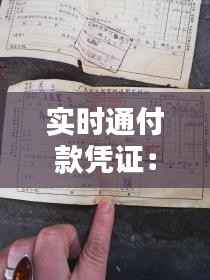 实时通付款凭证：支票的数字化替代品？