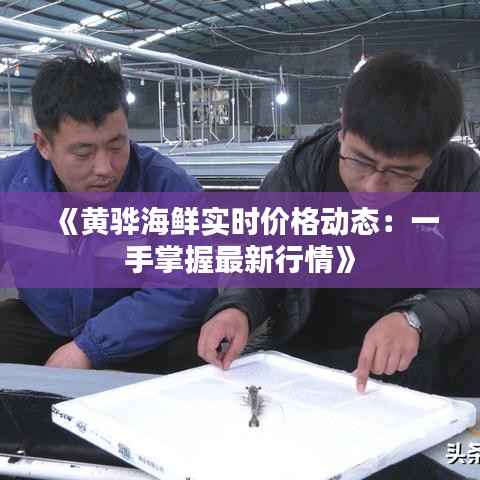 《黄骅海鲜实时价格动态：一手掌握最新行情》