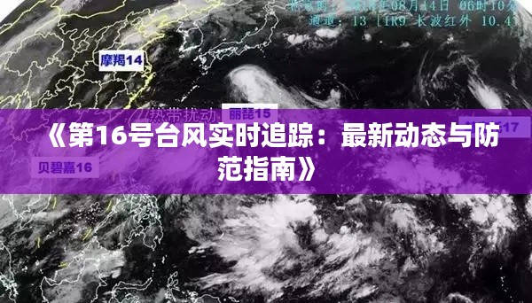 《第16号台风实时追踪:最新动态与防范指南》