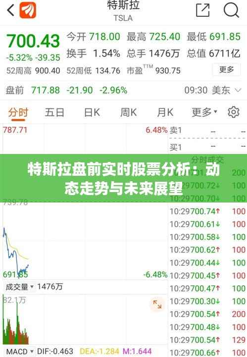 特斯拉盘前实时股票分析:动态走势与未来展望