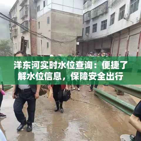 洋东河实时水位查询：便捷了解水位信息，保障安全出行