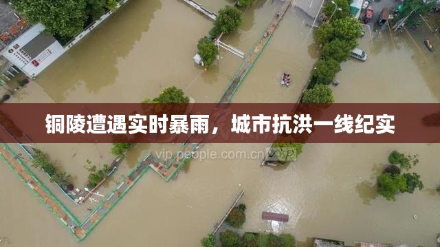 铜陵遭遇实时暴雨,城市抗洪一线纪实