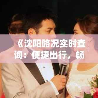 《沈阳路况实时查询:便捷出行,畅享无忧旅途》