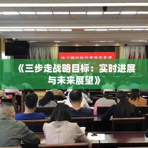 《三步走战略目标:实时进展与未来展望》