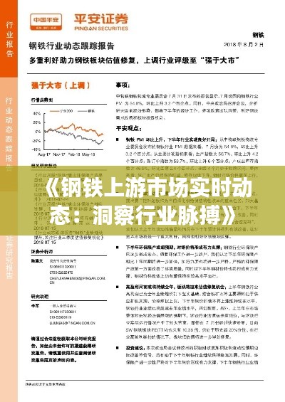 《钢铁上游市场实时动态:洞察行业脉搏》