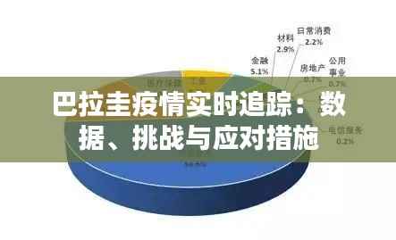 巴拉圭疫情实时追踪:数据、挑战与应对措施