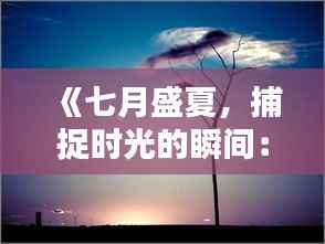 《七月盛夏,捕捉时光的瞬间:实时素材精选》