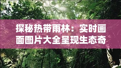 铺张浪费 第6页