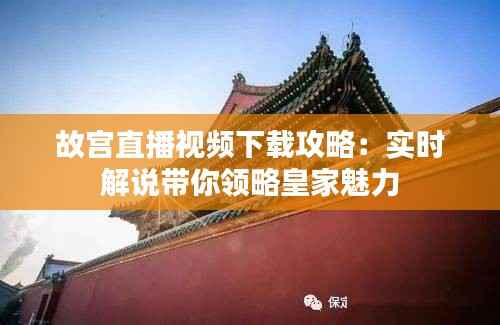 故宫直播视频下载攻略：实时解说带你领略皇家魅力