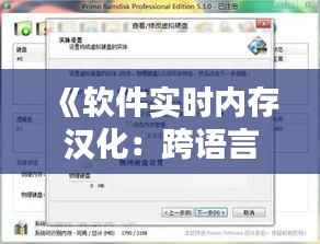《软件实时内存汉化:跨语言应用的无缝体验》