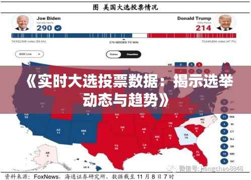 《实时大选投票数据:揭示选举动态与趋势》