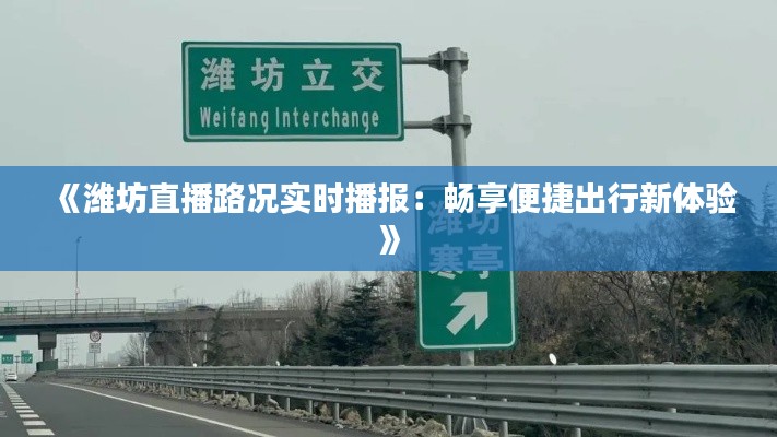 《潍坊直播路况实时播报:畅享便捷出行新体验》