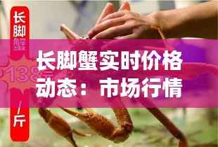 长脚蟹实时价格动态：市场行情一览无余