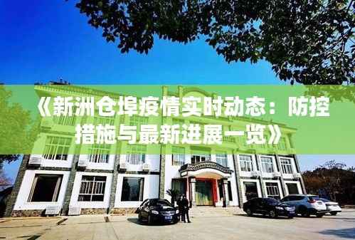 《新洲仓埠疫情实时动态:防控措施与最新进展一览》