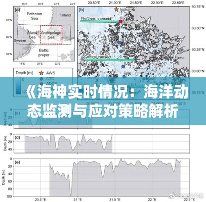 《海神实时情况:海洋动态监测与应对策略解析》