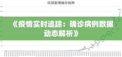《疫情实时追踪：确诊病例数据动态解析》