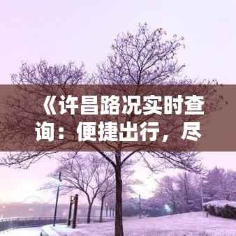 《许昌路况实时查询:便捷出行,尽在掌握》